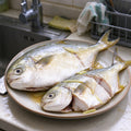Fresh Whole Golden Pomfret - view 1